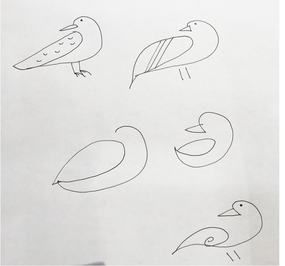 Bird-sketches-2